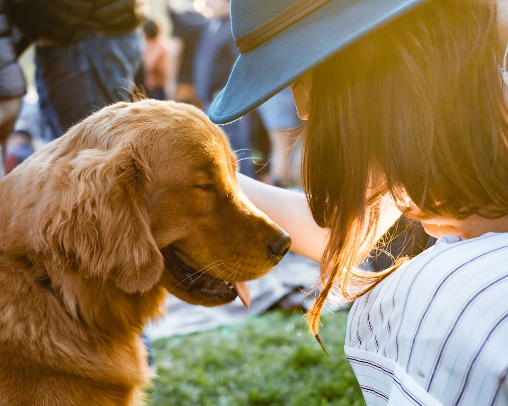 Can Dogs Eat Avocado? The "Green Gold" Brunch Dilemma with Buddy!